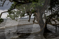 Rise Of Electric Vehicle (EV's) Destroying Sulawesi Rainforests & Coastal Communities