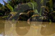 Rise Of Electric Vehicle (EV's) Destroying Sulawesi Rainforests & Coastal Communities