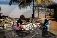 Rise Of Electric Vehicle (EV's) Destroying Sulawesi Rainforests & Coastal Communities
