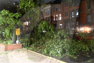 Large Tree Down During Severe Weather On Columbus Avenue And West 95th Street