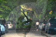 Large Tree Down During Severe Weather On Columbus Avenue And West 95th Street