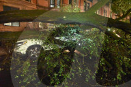 Large Tree Down During Severe Weather On Columbus Avenue And West 95th Street