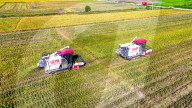 Early Rice Harvest in Yichun 