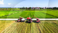 Early Rice Harvest in Yichun 