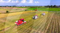Early Rice Harvest in Yichun 