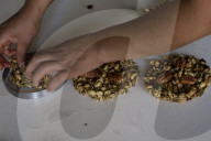 Production Of Crystallized Sweets In Santa Cruz Acalpixca, Xochimilco, Mexico City