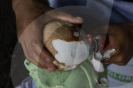 Production Of Crystallized Sweets In Santa Cruz Acalpixca, Xochimilco, Mexico City