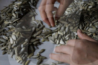 Production Of Crystallized Sweets In Santa Cruz Acalpixca, Xochimilco, Mexico City