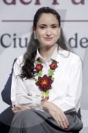 Mexico’s President Claudia Sheinbaum Holds Briefing