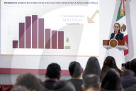 Mexico’s President Claudia Sheinbaum Holds Briefing