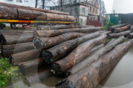 Daily Life In Dhaka