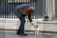 Ministers Attend Cabinet Meeting in London, UK.