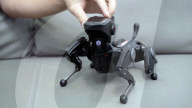 Robot dog pet with AI