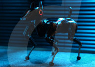 Robot dog pet with AI