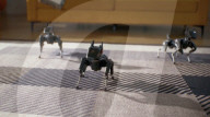 Robot dog pet with AI