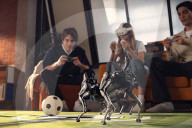 Robot dog pet with AI