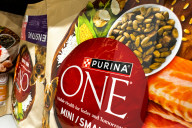 Poland Groceries