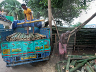 Daily Life In India