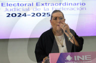 Guadalupe Tadei Head Of National Electoral Institute Holds News Conference