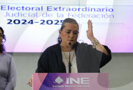 Guadalupe Tadei Head Of National Electoral Institute Holds News Conference