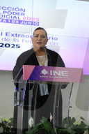 Guadalupe Tadei Head Of National Electoral Institute Holds News Conference
