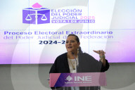 Guadalupe Tadei Head Of National Electoral Institute Holds News Conference