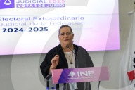 Guadalupe Tadei Head Of National Electoral Institute Holds News Conference