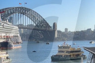 Humpback whale delays ferry service in Sydney Harbour.