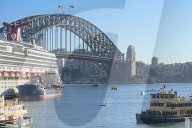 Humpback whale delays ferry service in Sydney Harbour.