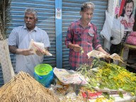 Daily Life In Kerala, India