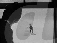 Citizen Kane sled sold for over $14 million USD