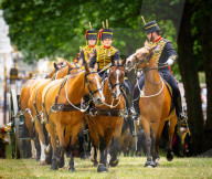 Special Military celebrations in London for Her Majesty The Queen's Birthday in Green Park, London, UK.