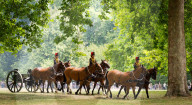 Special Military celebrations in London for Her Majesty The Queen's Birthday in Green Park, London, UK.