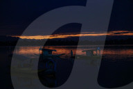Evening Scenes Of Dal Lake In Kashmir
