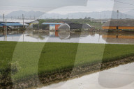 South Korea Torrential Rain