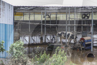 South Korea Torrential Rain