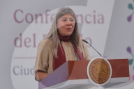 Mexico’s President Claudia Sheinbaum Holds Briefing