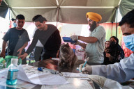 Vaccination For Pet Cats And Dogs In Baramulla 