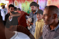 Vaccination For Pet Cats And Dogs In Baramulla 