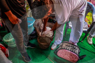 Vaccination For Pet Cats And Dogs In Baramulla 