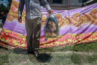 Vaccination For Pet Cats And Dogs In Baramulla 