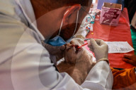 Vaccination For Pet Cats And Dogs In Baramulla 