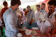 Vaccination For Pet Cats And Dogs In Baramulla 