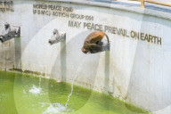 Nepal: Monkeys Beat The Heat At Swayambhunath