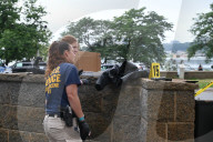Off Duty Border Patrol Agent Wounded In A Shooting At Fort Washington Park Near The George Washington Bridge In New York City