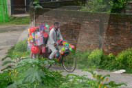 INDIA WEATHER 