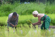 India's Economy
