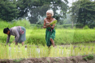 India's Economy