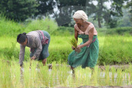 India's Economy