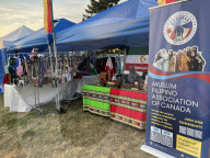 Filipino Festival In Vaughan